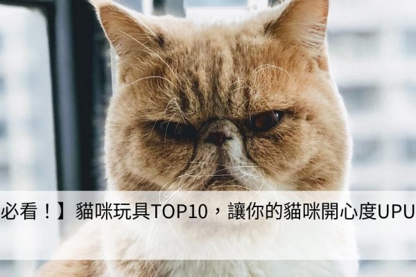 【必看！】貓咪玩具TOP10，讓你的貓咪開心度UPUP！